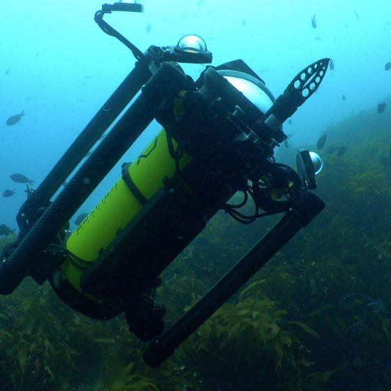 Boxfish Luna ROV with Reach Robotics Grabber Accessory from the side