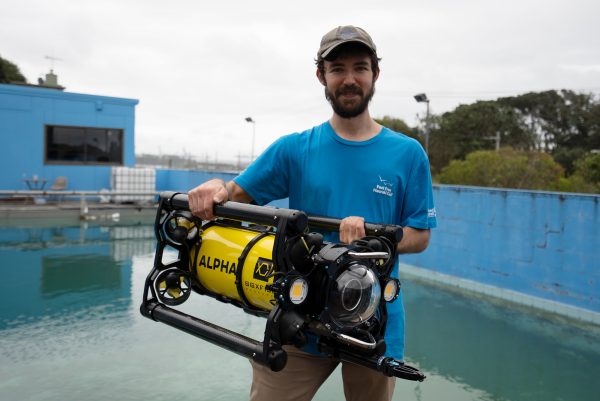 ROV pilot holding Boxfish Alpha with two hands